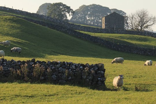Tour image 4